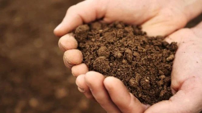 Balik Nama Sertipikat Rumah Orangtua ke Ahli Waris: Panduan Lengkap