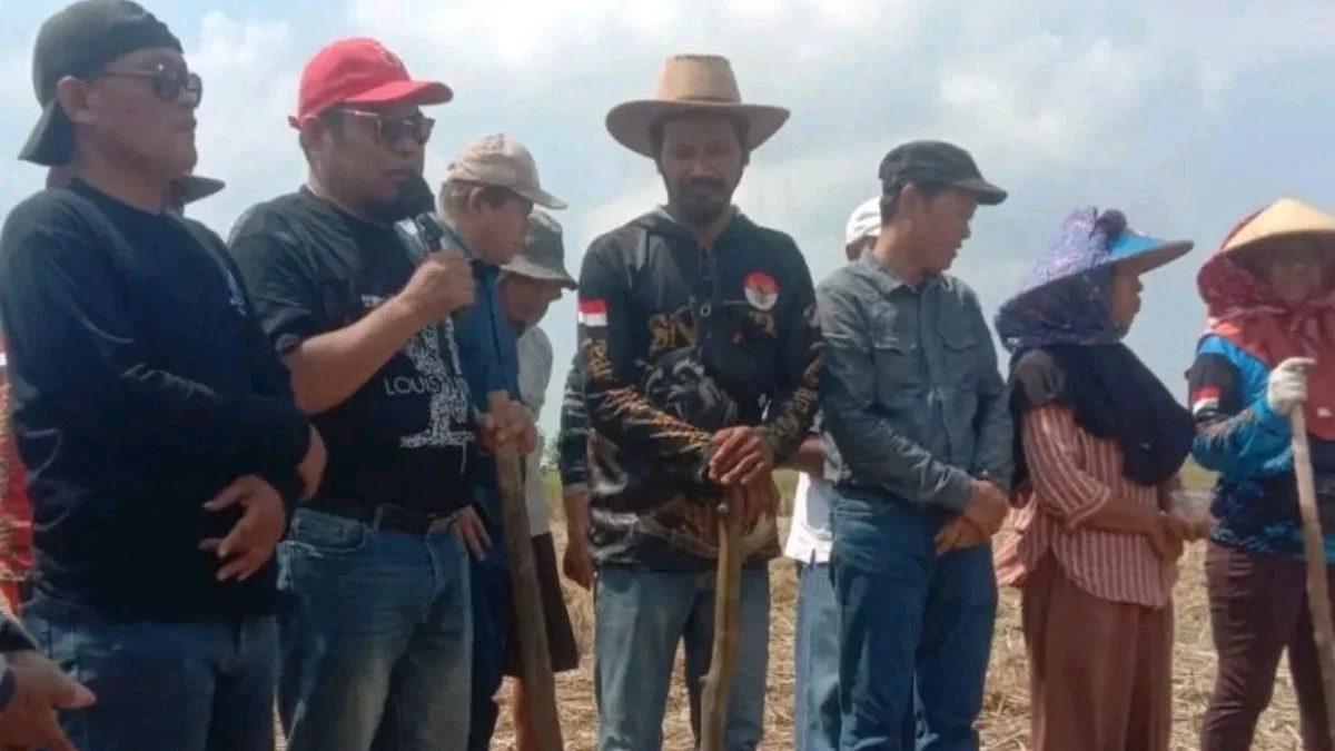 Indramayu Pimpin Nasional Capai Swasembada Kedelai