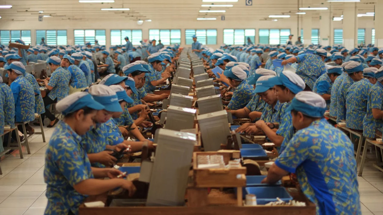 Bayang-bayang PHK Massal Mengintai Pekerja Industri Imbas Wacana Legalisasi Rokok Ilegal