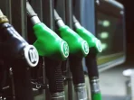 Indonesia Tingkatkan Biodiesel, Mampukah Menggantikan Energi Fosil?