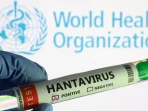 Israel Laporkan Kasus Pertama Hantavirus, Begini Kondisi Pasien