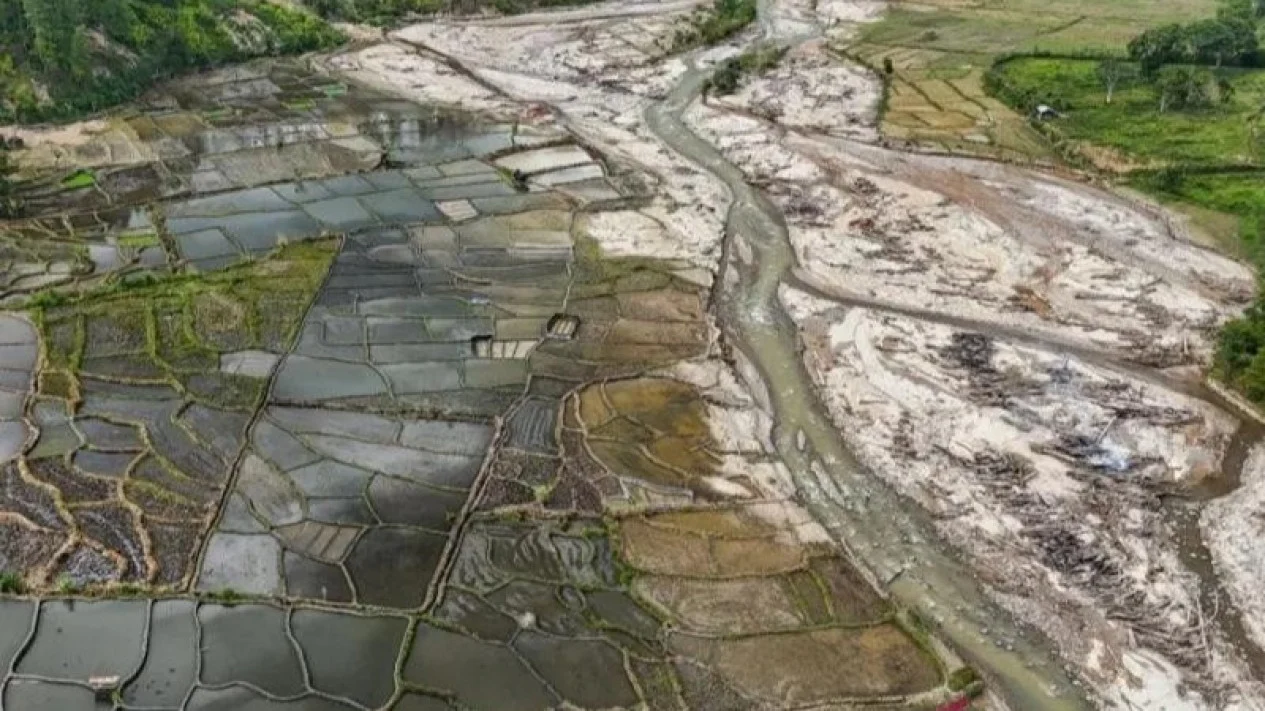 Ribuan Hektare Sawah yang Rusak Akibat Bencana Kini Mulai Diolah Kembali