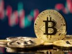 Bitcoin Melonjak: AS-Iran Damai, Indodax Ungkap Pemicu Pasar Kripto Bangkit