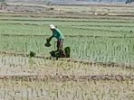 Air Melimpah, Petani Desa Lempuyang Mulai Musim Tanam Padi