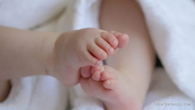Ayah di Jambi Jual Bayi 8 Bulan ke Suku Pedalaman, Kini Jadi Tersangka