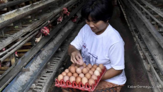 Modal Rp1 Juta Bisa Cuan? Ini 12 Ide Bisnis Harian Paling Potensial