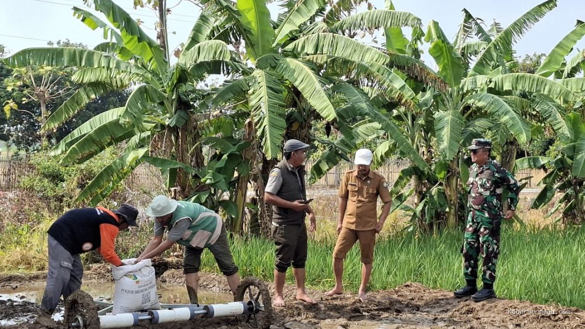 Strategi Tanam Petani Tunggul Payung: Danramil Lelea & BPP Beri Arahan Teknis Atasi Kendala Lahan