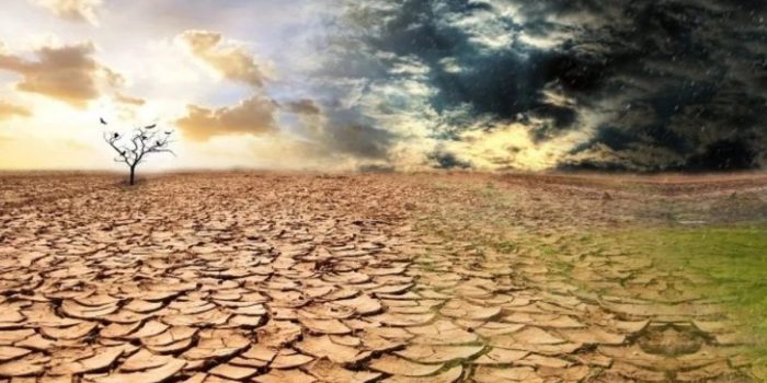 BMKG Ingatkan Potensi El Nino 2026, Petani Indramayu Siap Hadapi Kemarau Ekstrem