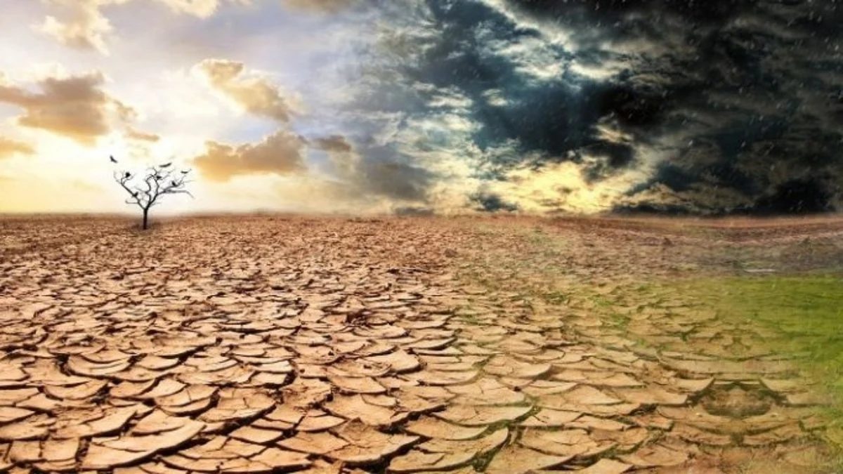 BMKG Ingatkan Potensi El Nino 2026, Petani Indramayu Siap Hadapi Kemarau Ekstrem