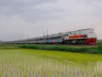 Jadwal Kereta Api Jarak Jauh Pulih Pasca Kecelakaan KRL dan Argo Bromo di Bekasi