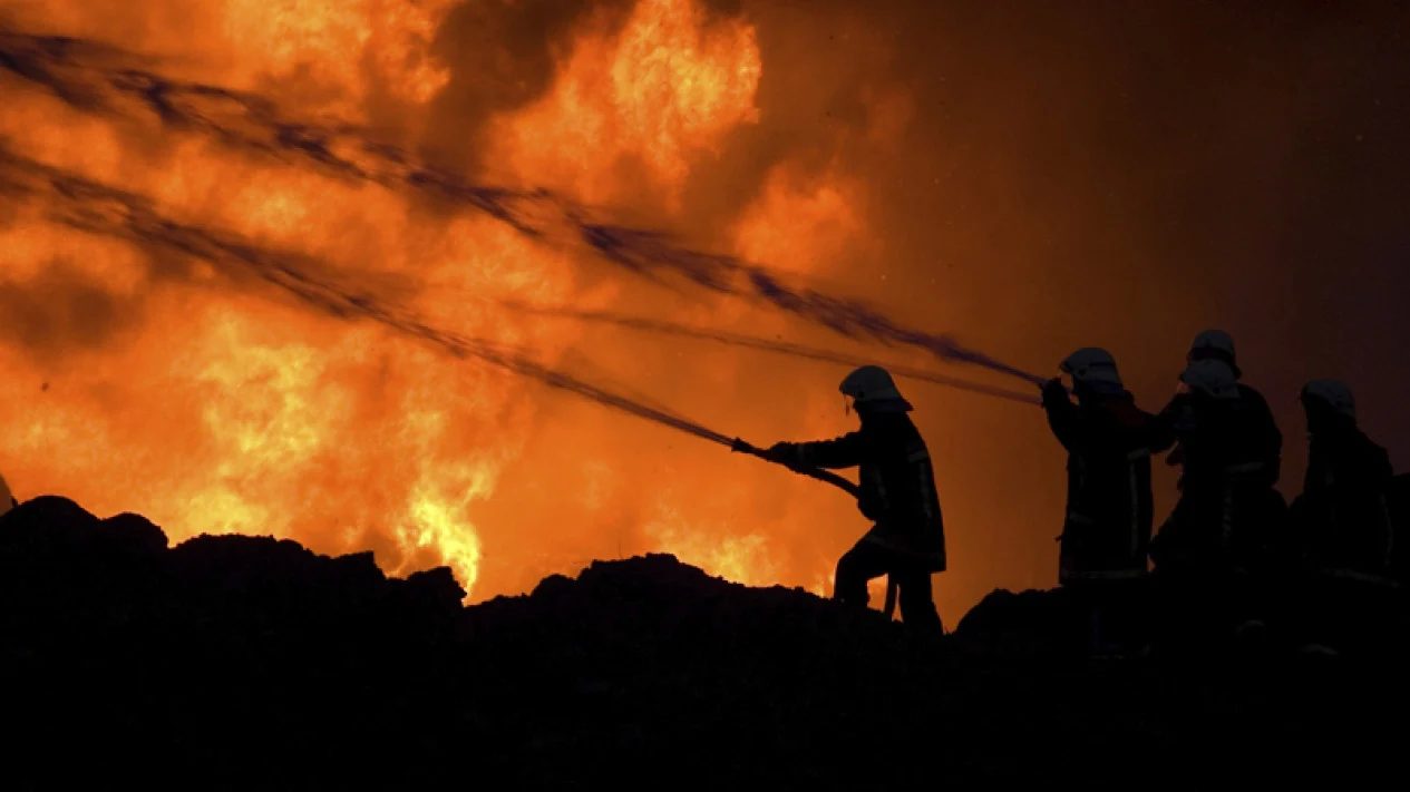 Kebakaran Hutan di Jepang Meluas, 3.000 Warga Dievakuasi