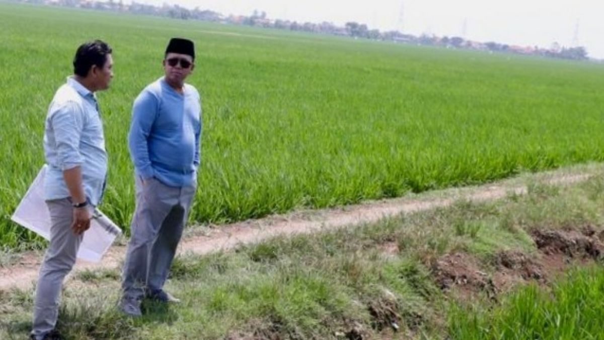 Nusron Cek Lahan Industri Indramayu, Pastikan Bukan Kawasan Pangan Berkelanjutan