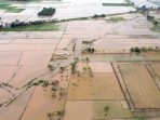 Pemulihan Ribuan Hektare Sawah untuk Jamin Ketahanan Pangan