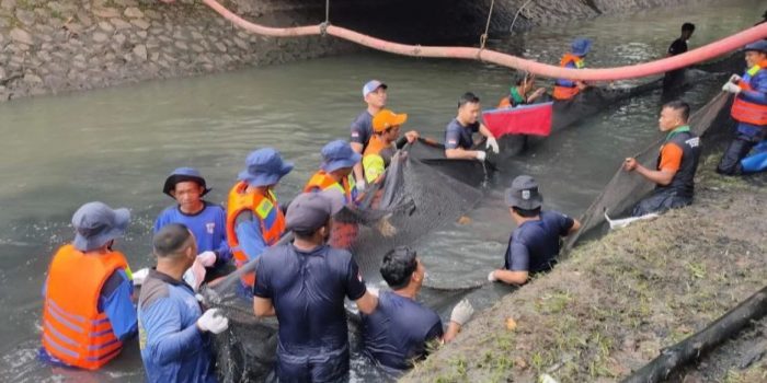 Penjual Ikan Sapu-sapu Ditangkap