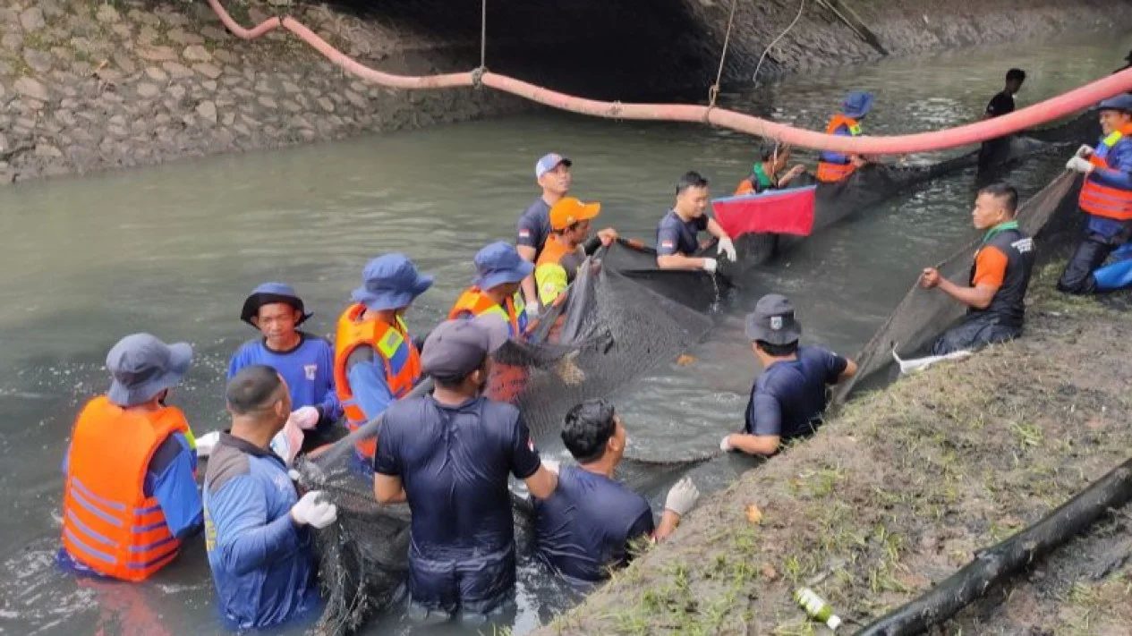 Penjual Ikan Sapu-sapu Ditangkap