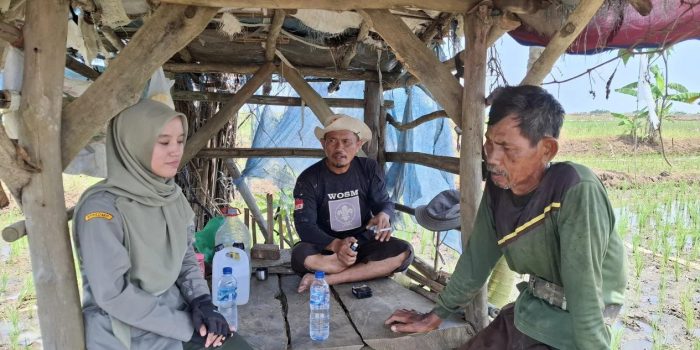 Petani Akui Penghasilan Naik, Rasakan Perubahan Besar Gara-Gara Ini