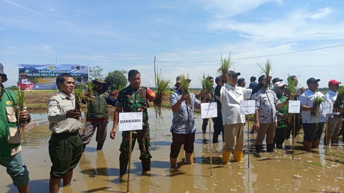 Sinergi Koramil 1613/Terisi dan Kementan untuk Penanaman Serempak 50.000 Ha di Indramayu