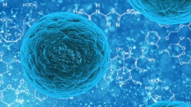 Terapi Stem Cell: Perbaiki Jaringan Rusak, Ini Faktanya