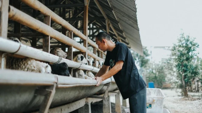 7 Peluang Bisnis Idul Adha: Mendadak Moncer & Banjir Order