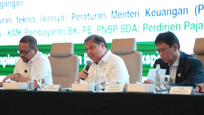 Airlangga: DSI Perkuat Pengawasan Ekspor SDA & Tata Kelola