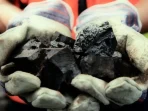 Batu Bara: 5 Fakta Menarik yang Perlu Anda Tahu