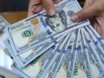 Beli Dolar Maksimal 25 Ribu per Bulan Mulai Juni 2026