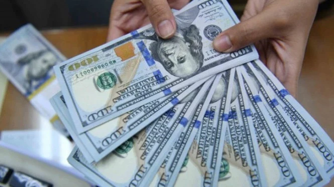 Beli Dolar Maksimal 25 Ribu per Bulan Mulai Juni 2026
