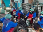 bgn-mendesak-sppg-berikan-bpjs-ketenagakerjaan-untuk-seluruh-pegawai-14779 BGN Mendesak SPPG Berikan BPJS Ketenagakerjaan untuk Seluruh Pegawai