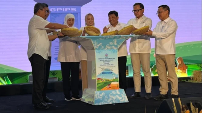 BI Kawal Transformasi Pangan Sawah hingga Hilirisasi Desa