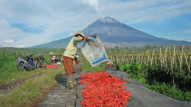 BRI Salurkan KUR Rp65,95 T untuk 558 Ribu Petani, 23 Ribu Nelayan 2026