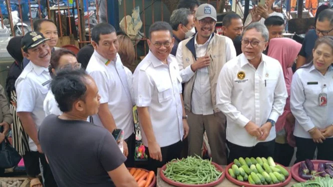 Bulog Diminta Jual Jagung Murah untuk Stabilkan Harga Pakan Ternak
