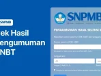 Cara Login Pengumuman SNBT 2026 & Cek Hasilnya Terbaru