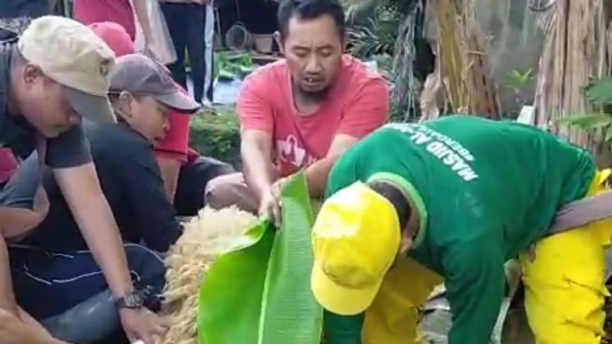Daging Kurban Indramayu: Sukacita Warga Blok Manggungan, Kebersamaan Terjalin