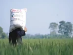Dampak Krisis Pupuk, Jutaan Orang Terancam Kelaparan