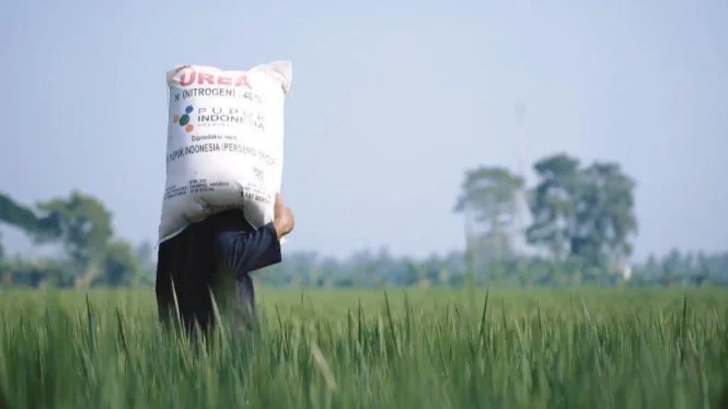 Dampak Krisis Pupuk, Jutaan Orang Terancam Kelaparan