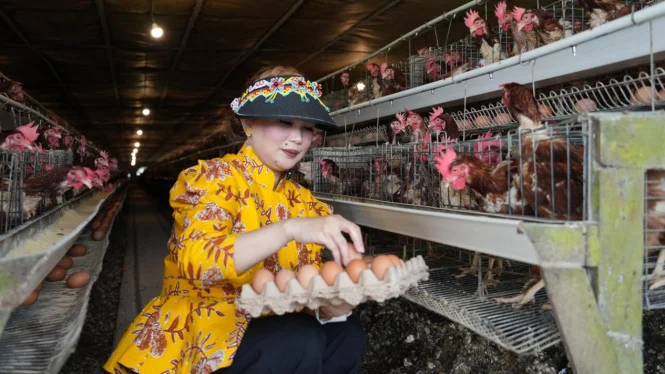 DPR Dorong Kemendag Gandeng BGN Atasi Harga Telur Anjlok