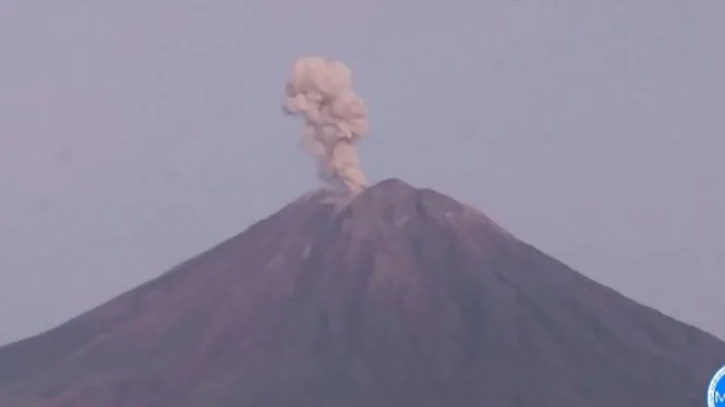 Erupsi Gunung Semeru Terjadi Empat Kali dalam Satu Jam Pagi Ini, Kolom Abu Capai 1 Km