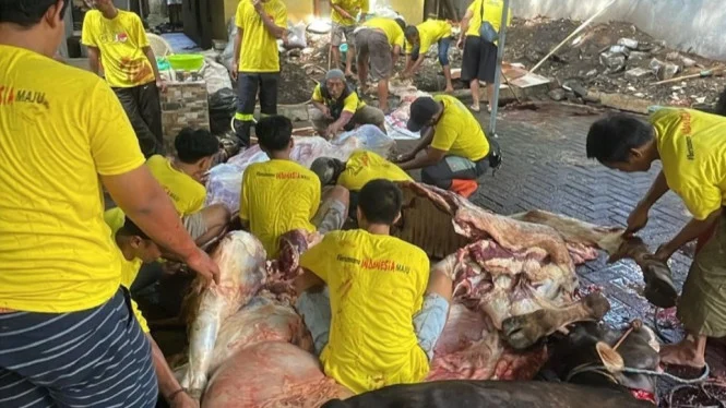 Golkar DKI Bagikan 117 Hewan Kurban, Zaki: Pererat Kepedulian Sosial