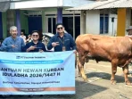Grup MIND ID Salurkan 1.735 Hewan Kurban di Sumatera hingga Papua