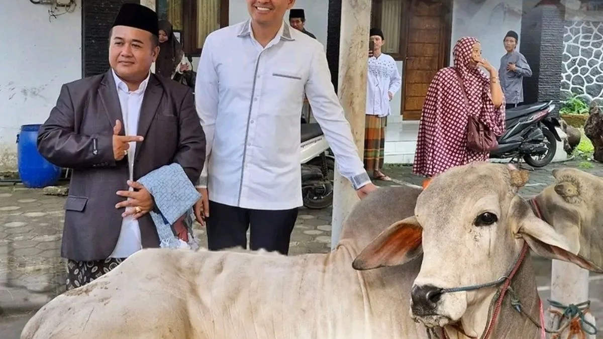 Hewan Kurban Indramayu: Data Terbaru Ribuan Ekor Tahun Ini