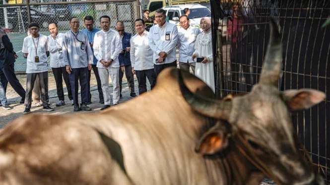 Idul Adha 2026: Pertamina Tebar 2.031 Hewan Kurban Nasional