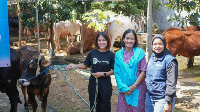 Indodax Salurkan Hewan Kurban Korban Bencana Aceh Terpencil