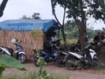 Indramayu Gubuk Tongkrongan di Tanggul Cimanuk Disinyalir Jadi Sarang Transaksi Obat Keras Daftar G 24 Mei 2026, 20:28 WIB