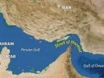 Iran Manfaatkan Armada Drone untuk Amankan Selat Hormuz