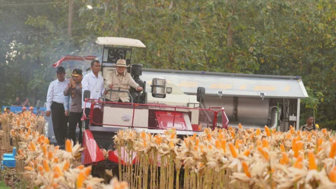 Kapolri Laporkan Hasil Panen Jagung kepada Prabowo