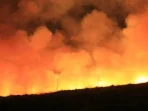 Kebakaran Dahsyat Melanda Gudang di Miami Kalideres, 100 Petugas Pemadam Dikerahkan