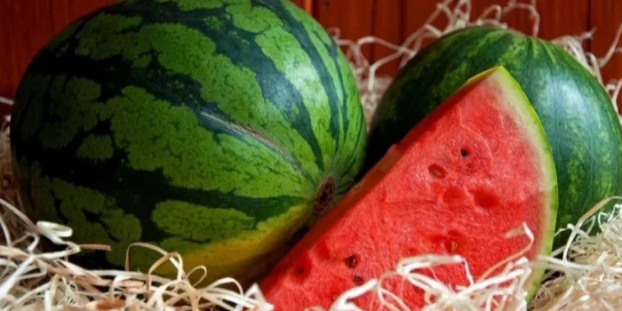 Keluarga di India Meninggal Setelah Makan Semangka Tengah Malam
