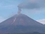 Letusan Gunung Semeru Setinggi 900 Meter