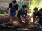 Limbah Kurban Jadi Bisnis Menjanjikan: Dari Kulit hingga Tulang Usai Idul Adha
