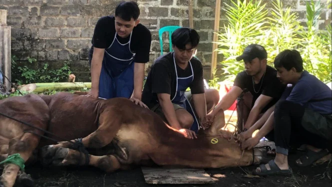 Limbah Kurban Jadi Bisnis Menjanjikan: Dari Kulit hingga Tulang Usai Idul Adha